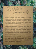 Symbols of Serendipity Ladybug - Story Charm